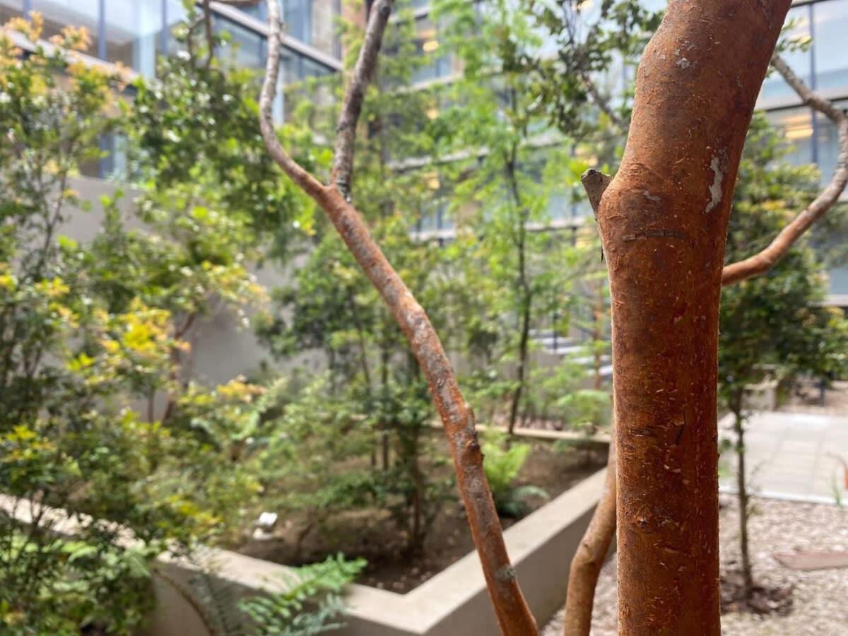 Apartamento Hom I Comodo Depto, En Gran Terraza Y Parking